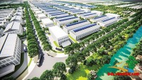 BẤT ĐỘNG SẢN CÔNG NGHIỆP 2025: "NGÔI SAO SÁNG" TIẾP TỤC DẪN DẮT THỊ TRƯỜNG