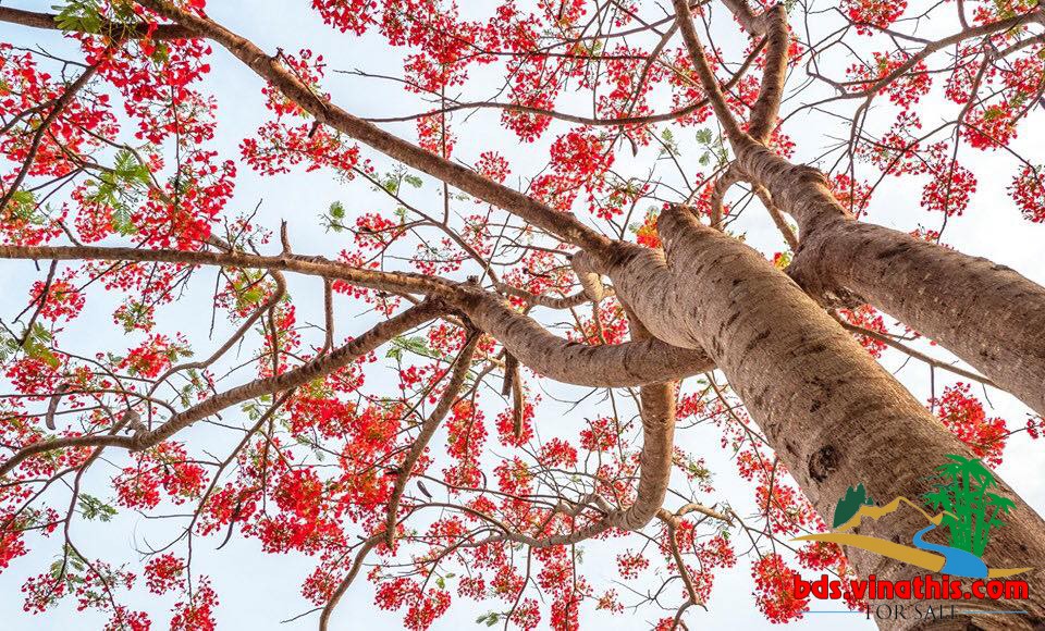 VŨNG TÀU – BỨT PHÁ DỌC THEO CÁC HÀNH LANG KINH TẾ BIỂN LIÊN VÙNG